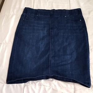 Zora Stretch Denim skirt